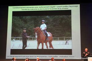 Saumur 2016 : vendredi 14 octobre, partie 17 : La relation cheval, enseignant, cavalier