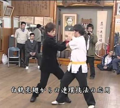 Chugoku no Bujutsu
