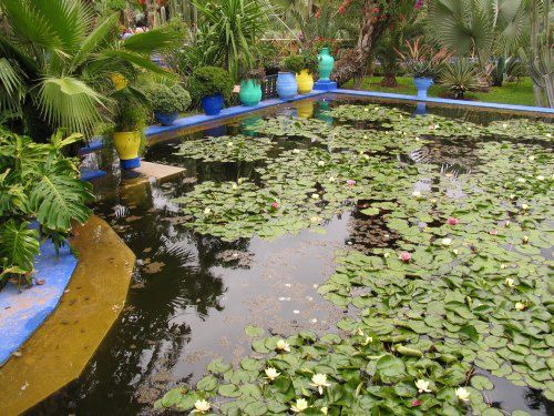 Le Jardin Majorelle et ses merveilleuses couleurs (même sous la pluie)