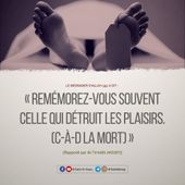 Qu'as tu fais de ta vie ? - Salafidunord