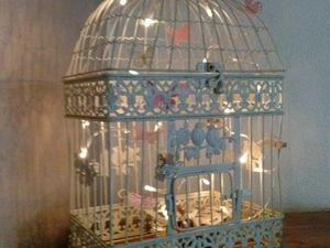 Belle cage...