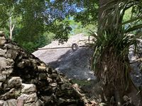 Sur le chemin du retour : Coba
