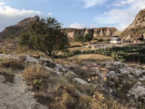 GONDAR - PARC SIMIEN - AXOUM - Massif du Ghéralta (Tigré )