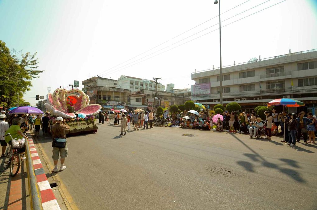 Album - festival des fleurs de chiangmai 2012