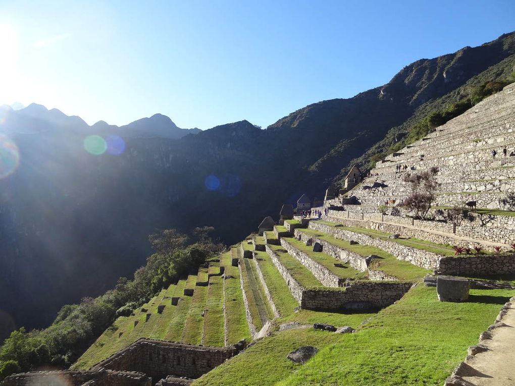 Machu Picchu 