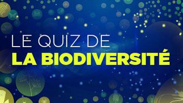 TF1 lance son quiz de la biodiveristé