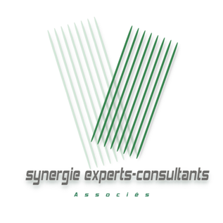 synergieexpert.over-blog.com