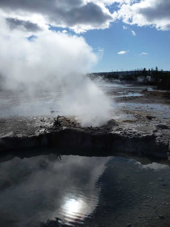 Album - 15.Yellowstone (Wyoming-octobre)