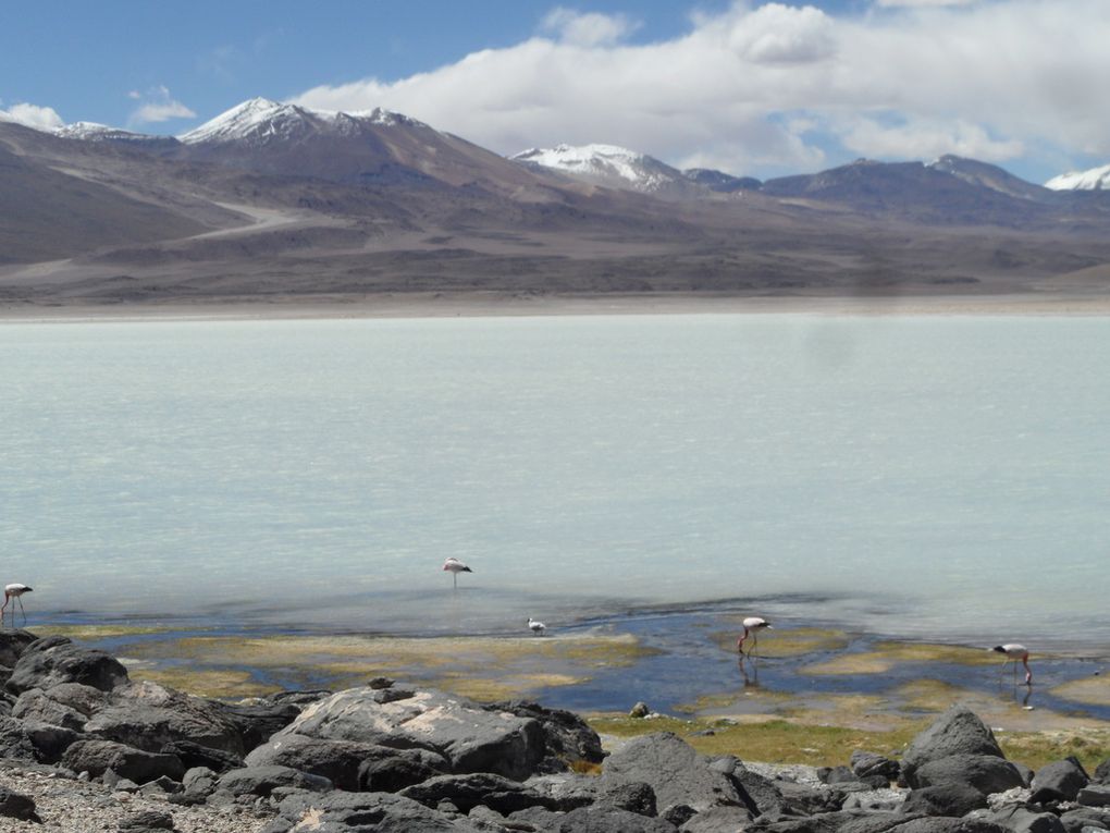 de Salta (Arg) a San Pedro, en passant ppar les salars d'Uyuni en Bolivie : 2 semaines de photos !