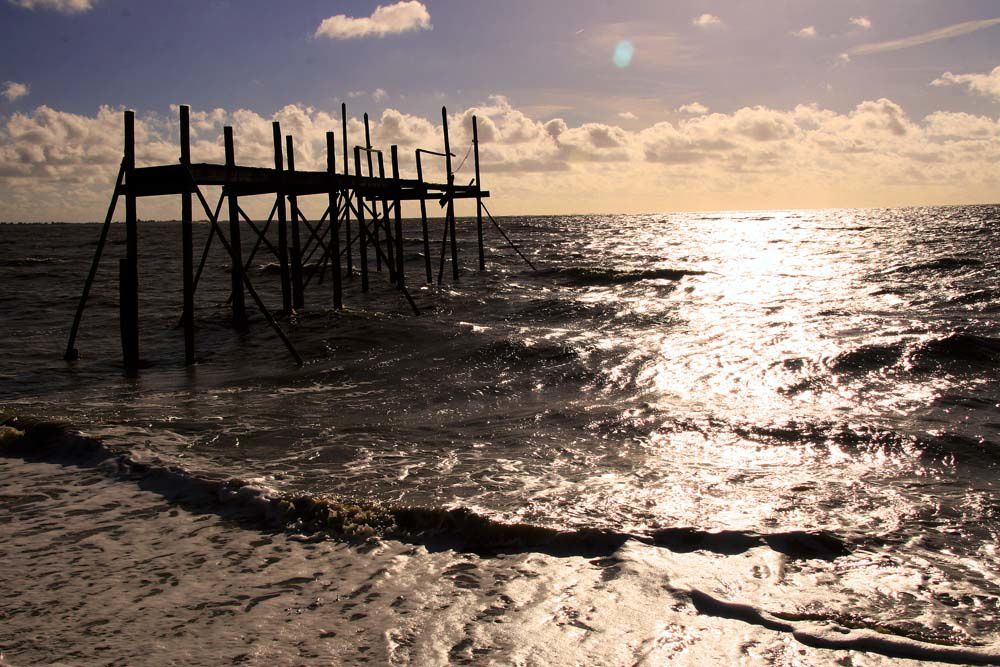 Sentier de douanier en Pays de Retz - Photos Thierry Weber Photographe La Baule Guérande