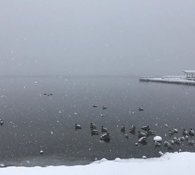 Eté : 30 cm de neige attendu dans le nord de la Colombie-Britannique 