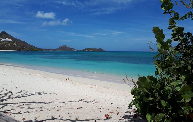 Retour aux Grenadines