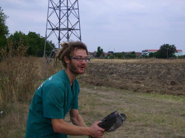 Mon lieu de travail : le centre de soins de faune sauvage, où l'on accueille surtout des oiseaux