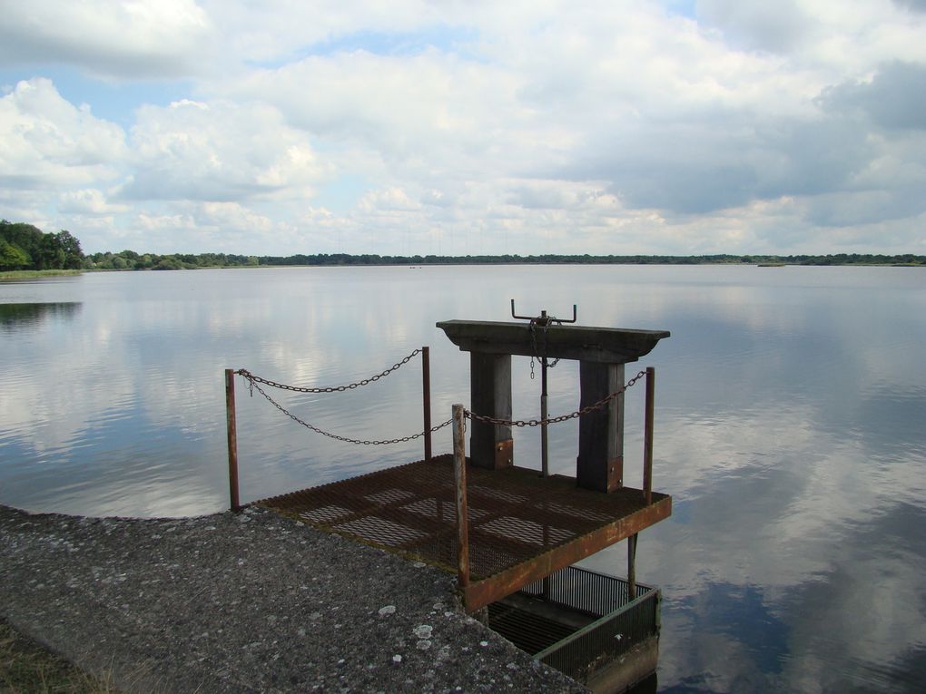 Promenade en Brenne : L'Etang de La Gabrière