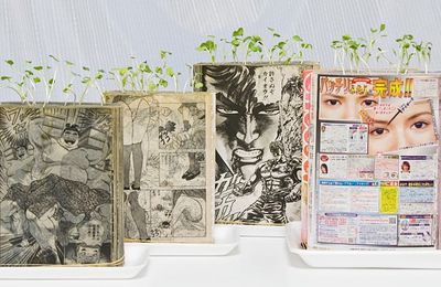 Faites pousser vos plantes dans un manga