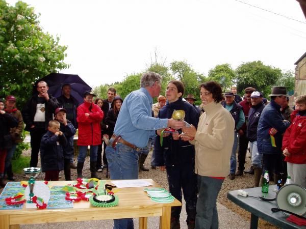 Photos de stages d'attelage ou de TREC attel&eacute;