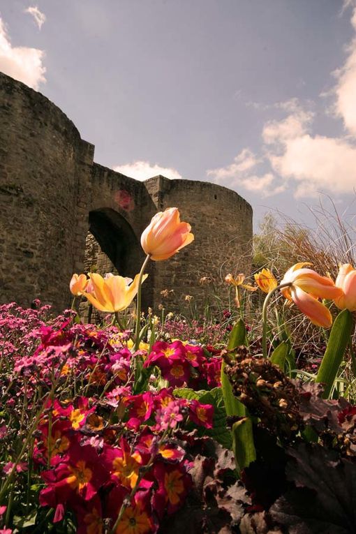 Les remparts de la ville de Guérande au printemps