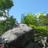 Varappe à Fontainebleau .