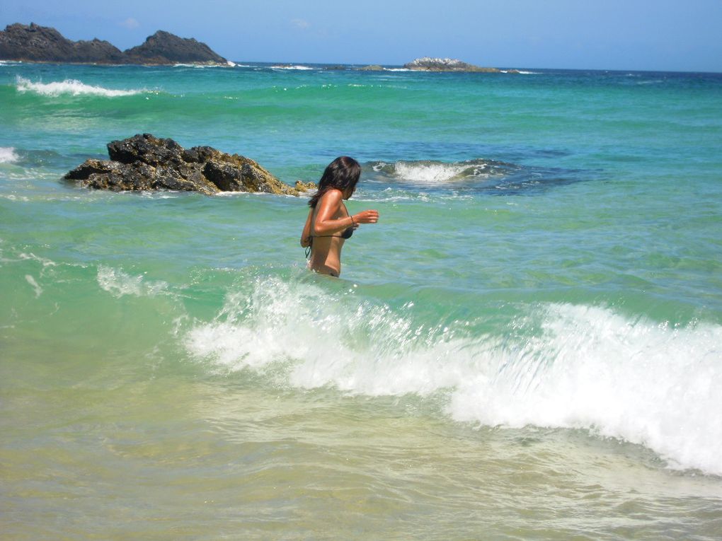 Album - VM. AUSTRALIE - Seal Rocks