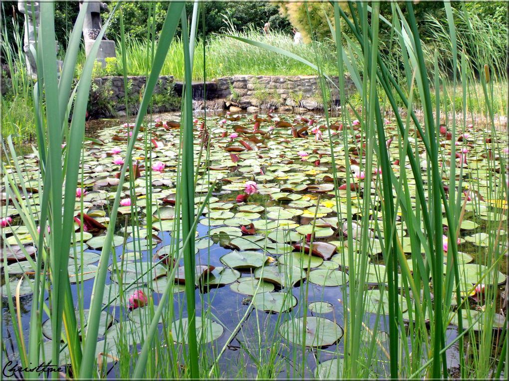 Album - LE-JARDIN-DE-LA-TOUR-DE-RATIERES