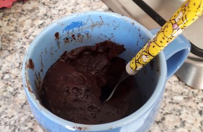 Mug Cake chocolat IG Bas