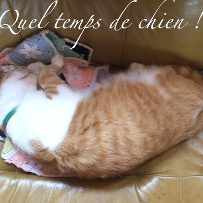 AVEC MES TUTO : Manon a fait mes pendouilles de Bruges