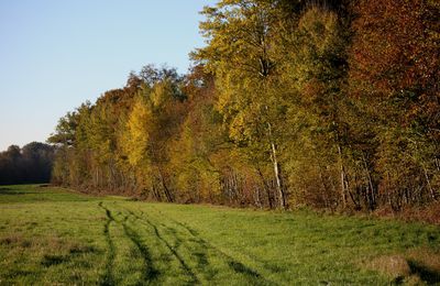 Le soleil a été de retour le temps d'un matin !!