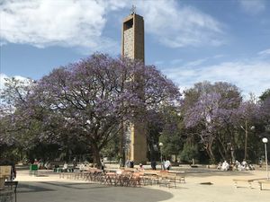 GONDAR - PARC SIMIEN - AXOUM - Massif du Ghéralta (Tigré )