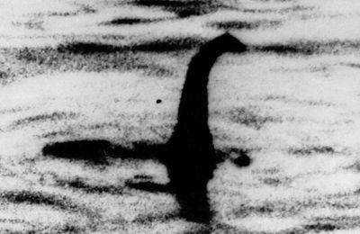 Grande-Bretagne: Et si le monstre du Loch Ness n'était qu'un poisson géant?