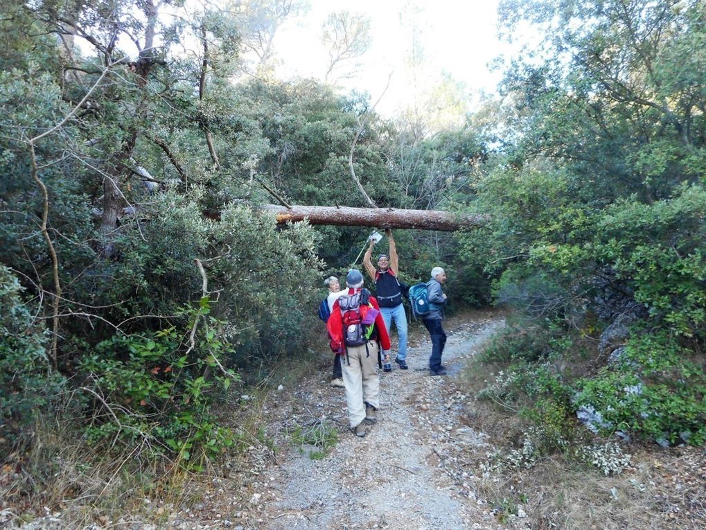 Rando Le Mont du Marseillais 20 Nov.2017