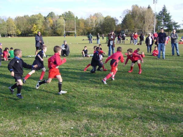 Album - Ecole-de-Rugby