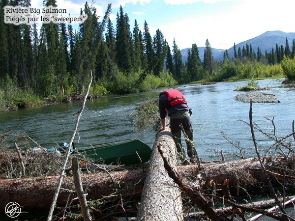 Été 2008 : Rivières Big Salmon et Yukon