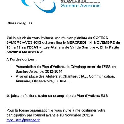 Réunion de travail du COTESS...