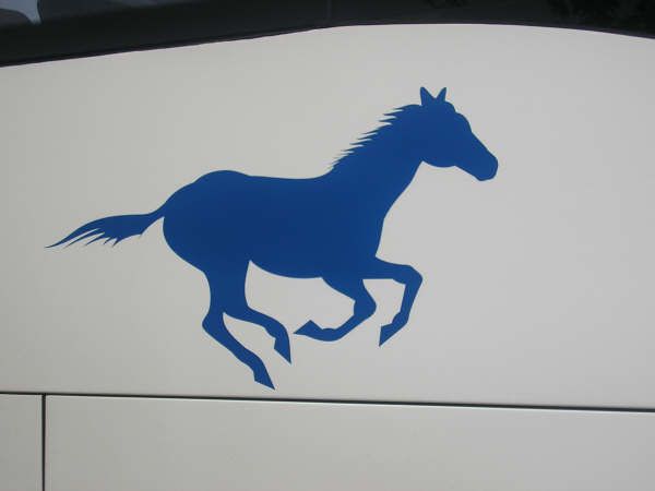 <p>mon &eacute;t&eacute; 2005 en gros plan. ou plut&ocirc;t pour l'instant les JMJ. j'explique pour ceux qui ne savent pas ce que le beau cheval bleu vient faire l&agrave;: c'est en fait le seul dessin qui nous a permis de reconnaitre le bus de loin, au parking le dernier jour, c'&eacute;tait une foto salutaire pour des jmjistes crev&eacute;es, apr&egrave;s des kilom&egrave;tres de bus; je pr&eacute;cise: des kilom&egrave;tres &agrave; longer des bus en v&eacute;rifiant que c'&eacute;tait pas le