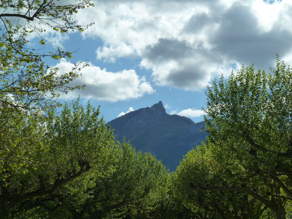 Album - Lac-du-Bourget