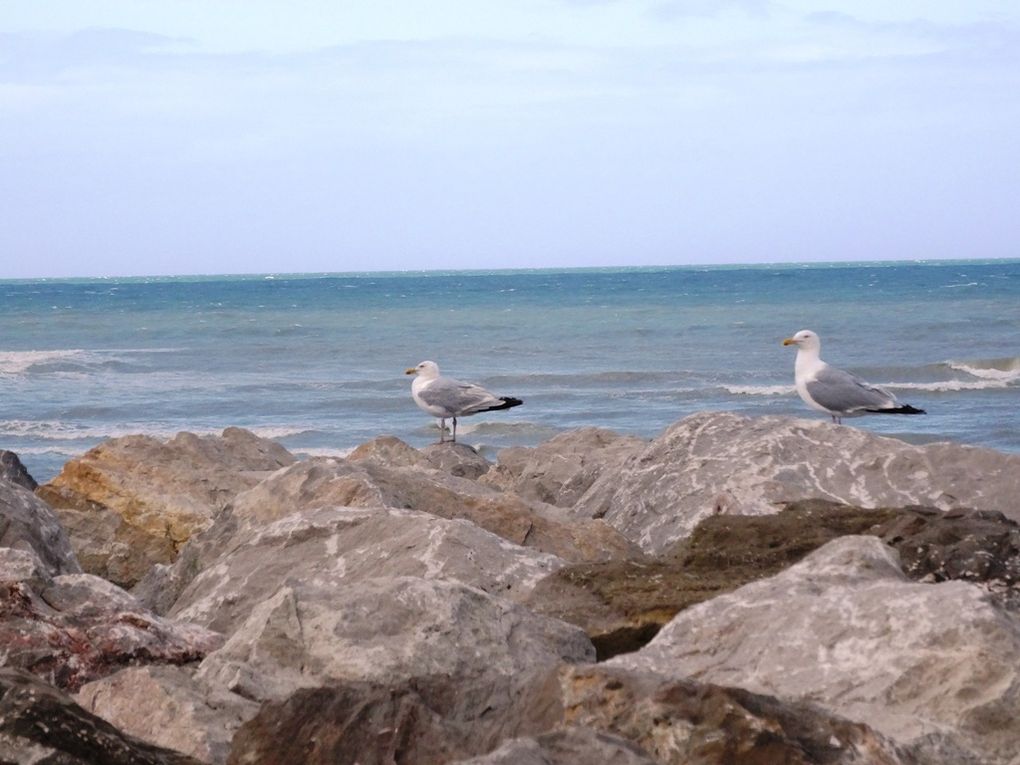 ET SI ON ALLAIT A MERS LES BAINS...DURANT LES VACANCES ?
