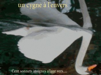 [Livre que j'♥ n°3] Sansonnets, un cygne à l'envers #S ♥