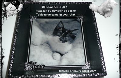 Pour les amoureux des chats ou pour son chat tout simplement