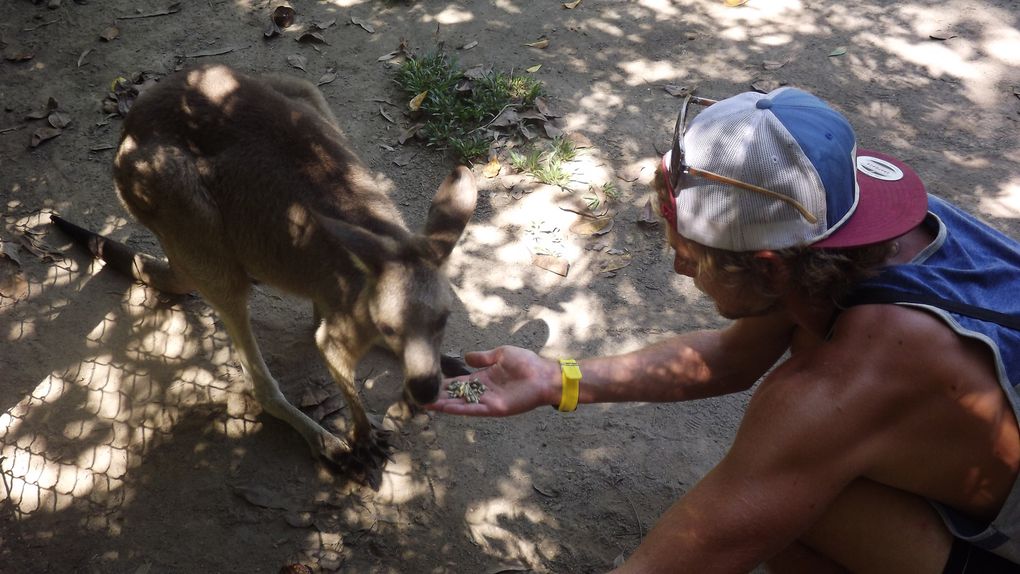 Dans le climat tropical du Queensland