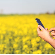 Les petits exploitants agricoles du Kenya bénéficient d'un outil climatique en ligne qui leur envoie sur leur téléphone des avis météorologiques spécifiques à leur localité