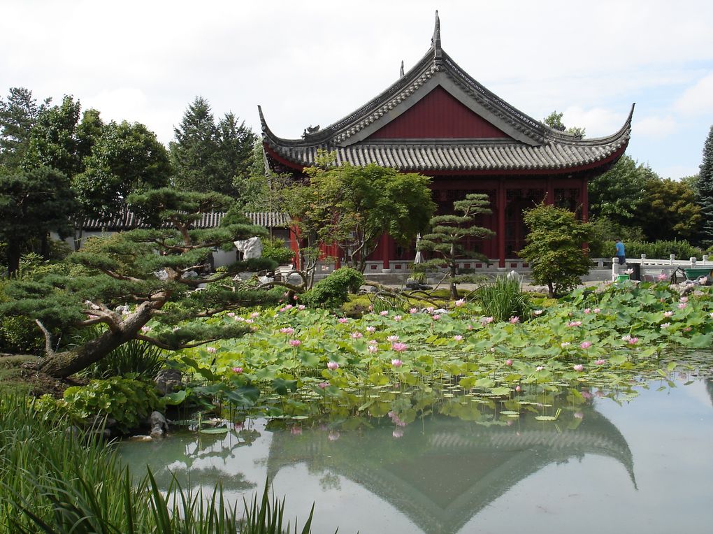 Album - jardin-botanique-et-biodome