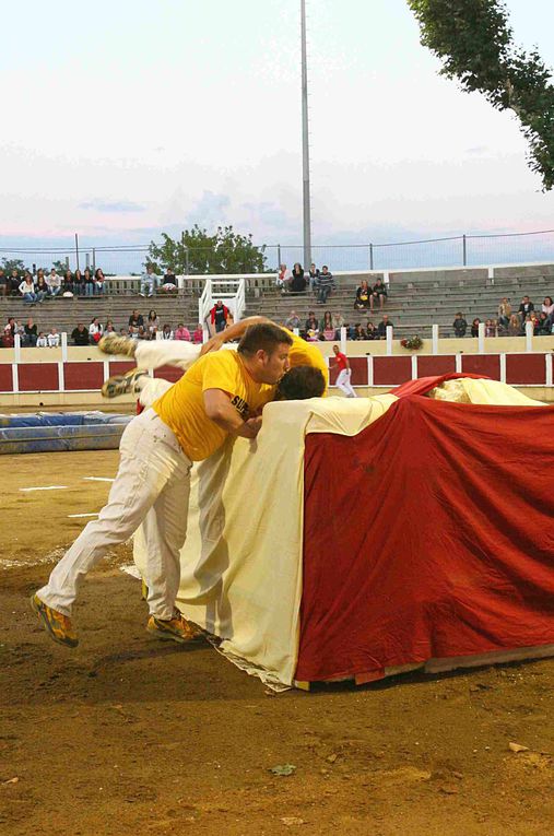 Arènes Parentis 13-08-2010
Croque-vache contre les Pompiers!!