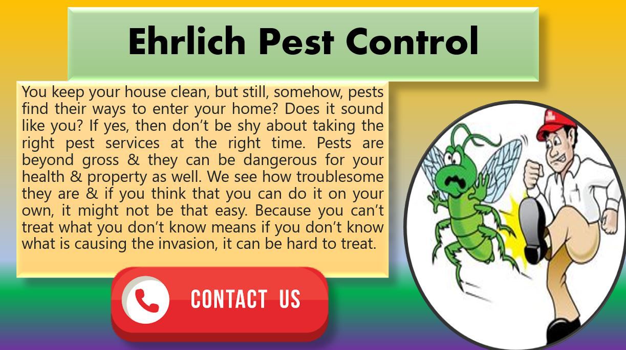 ehrlich pest control