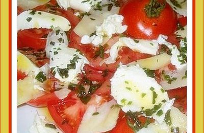 Salade méditerranéenne aux tomates et au fromage