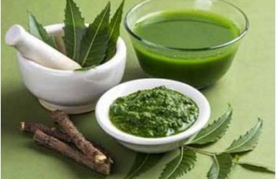 Global Neem Extract Market 2021 by Manufacturers, Regions, Type and Application, Forecast to 2026