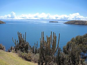 Le Lac Titicaca, un océan d'eau douce au milieu des montagnes
