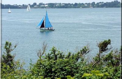 L'ILE AUX MOINES Morbihan