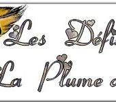 PLUME DE POETE CHEZ EVY- THEME 127- LA LUMIERE - MA CHIENNE DE VIE