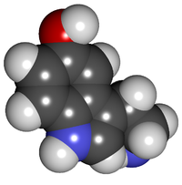 La sérotonine, l'hormone du bonheur