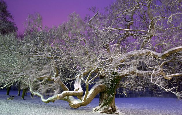 La nuit, la neige, magie des couleurs